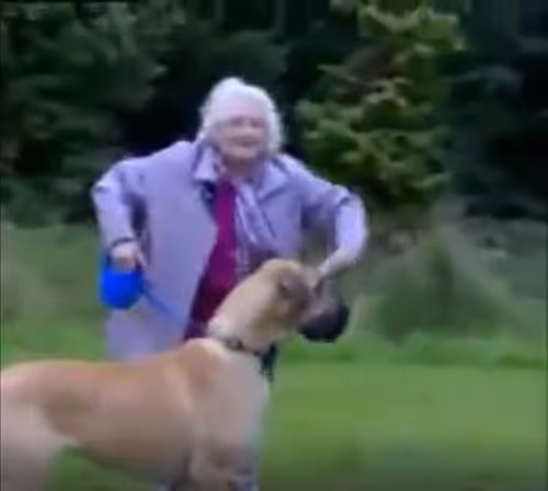 Item #41198154906144524980262082415319329772057028981559556668018756972686398717953 Media