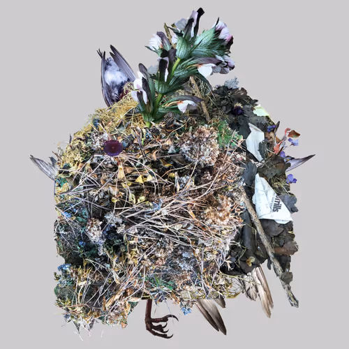 Debris #2