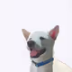 34676427965152218707356421633153204859761085480205500074624521530694984269825