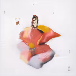 109365775537404355680634152841642333203956319687792449584351110093810450825217