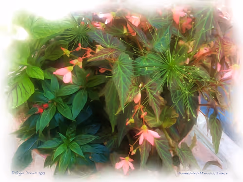 Item #25766228410116791685339336380012731519026805930459738932816938892973519667300 Media