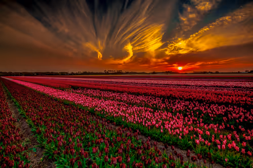 Item #105679162715773690367894814568251153202929894369313826483118647820201253404673 Media