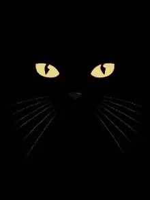 meowlevelsupport Collection