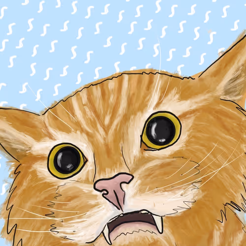 Kitty
