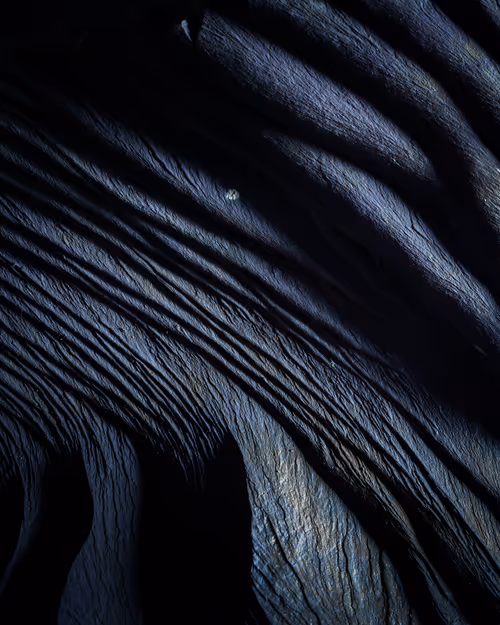 Item #92025450797269199699519638407999947828010124563072321716364901881458397806593 Media