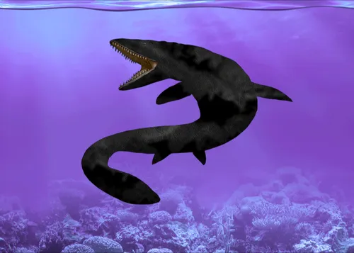 Item #22412305358539205371482020658884093096557011368869543087165207542940517269505 Media