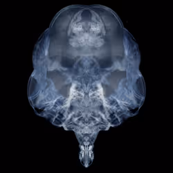 85859191866638808365331437874953228966785819470149775310971062056451622043649