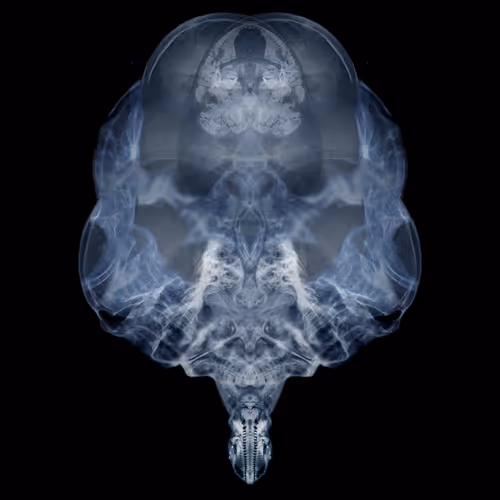 Item #85859191866638808365331437874953228966785819470149775310971062056451622043649 Media