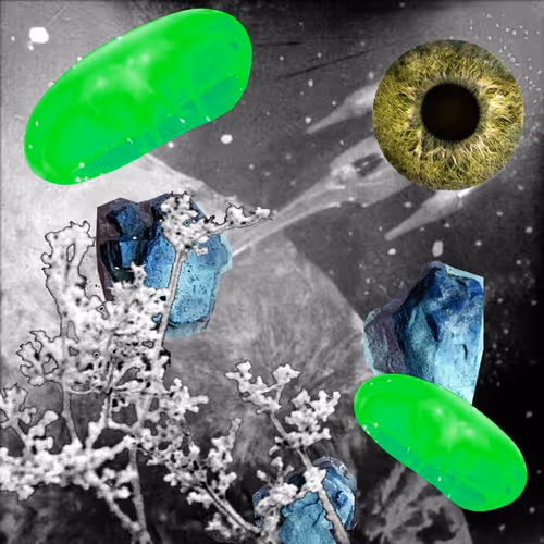 Item #99617095079910595980254990270876944363628162276742898399989141796129700052993 Media