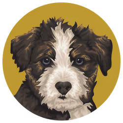 54766349128176429303044182404049584425310907481653304317570413891349913796609