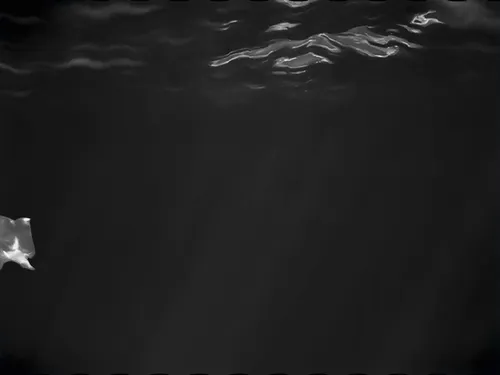 Item #101347158456169041509888391398522531772637997627975062421449352596332142919681 Media