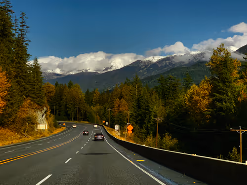 Item #33261409280827848890636833313665954217119010705453802455397167668993032454148 Media