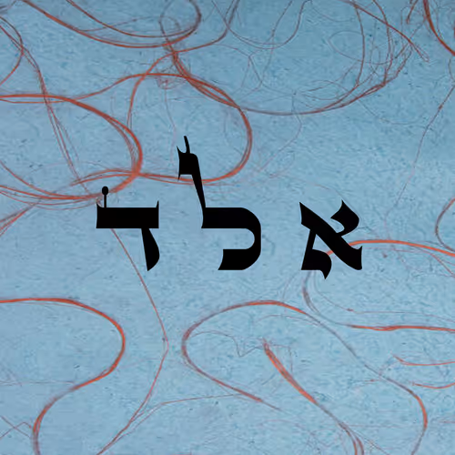 Item #60261209402415139582755570421670089329548312864668202741056926944375479468033 Media