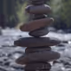 Rock Roots