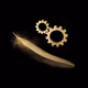 Falcoin Evolver