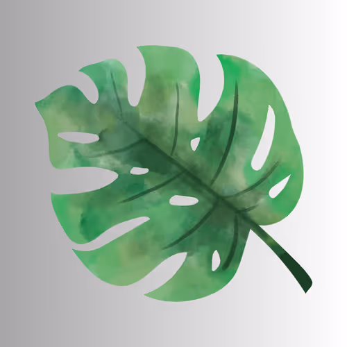 Item #31005137223559489105617282668813762999776598720723711678983405837366524380136 Media