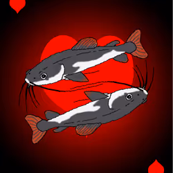 60758737692598365399439544709715132169547734655443315491174743511623719190529