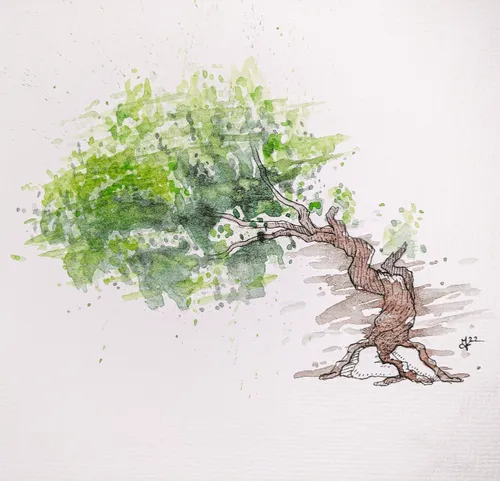 Item #84027275454189118771365438887090308513487515633822991158104392818306590965761 Media