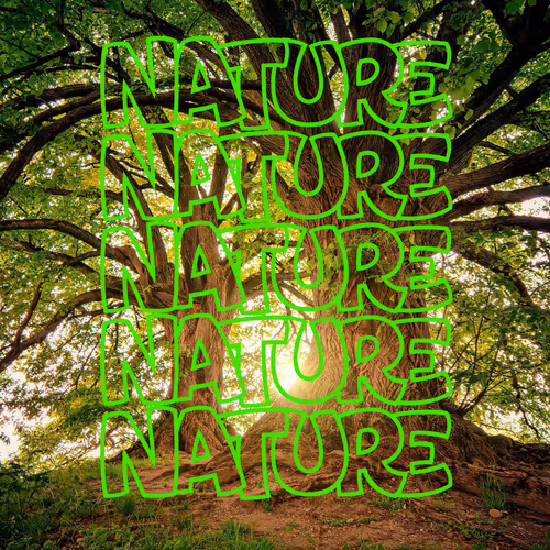 Item #100246482485439717251423810771497442588811363572941131198075662572942222426113 Media