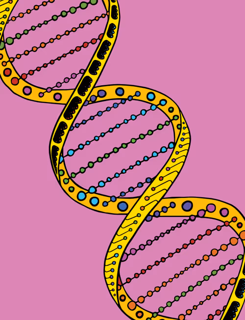 Item #28824502245252267217549902857601847351510039266873569823091148526266760560641 Media