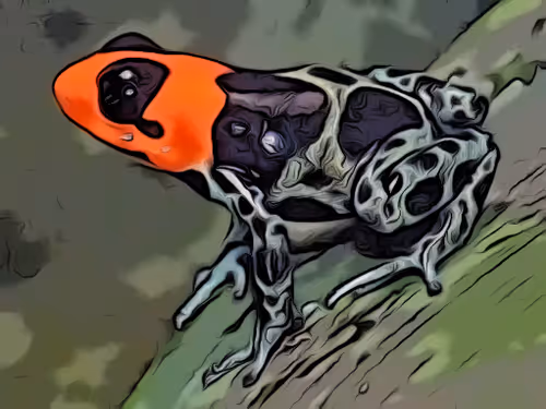 Item #29264666619168010317647881047170433350762654908464135976635272413092354457601 Media