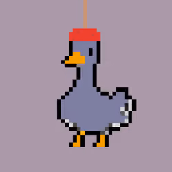 Quazy Quacker 251