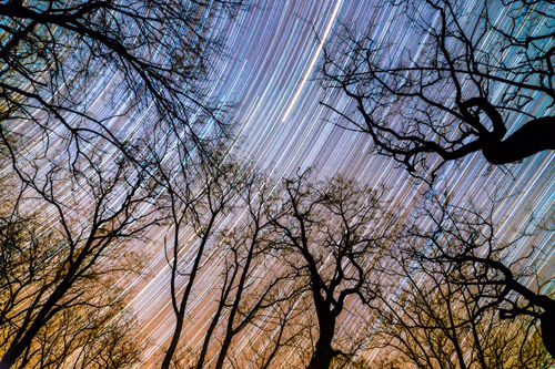 Item #23994447137093273447710670697087016153262800744699282660931118958952470020097 Media