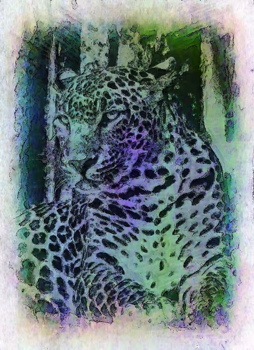 Item #112706814490930413132795555787302569515543672113453404084317514506286351253505 Media