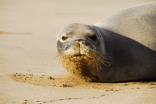 Item #82668664347853387025205030792162106913974488761724448252059371137878563225601 Media