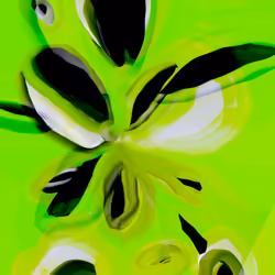 19889583467065924498430886653987090696802705631229589162686176631156505575425