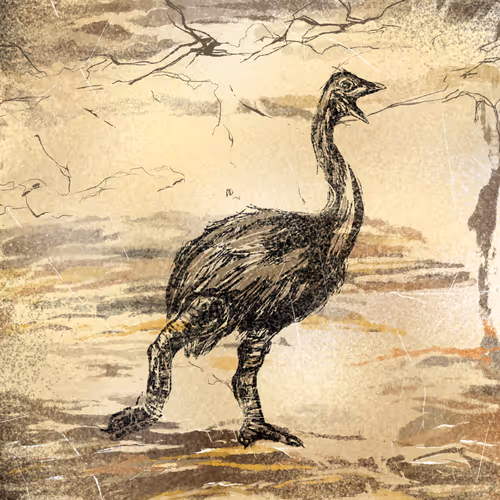 Item #42505435092464023240037635020667615408483052619425791248914544099832977424385 Media