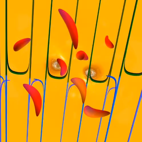 Osmosis underwater world