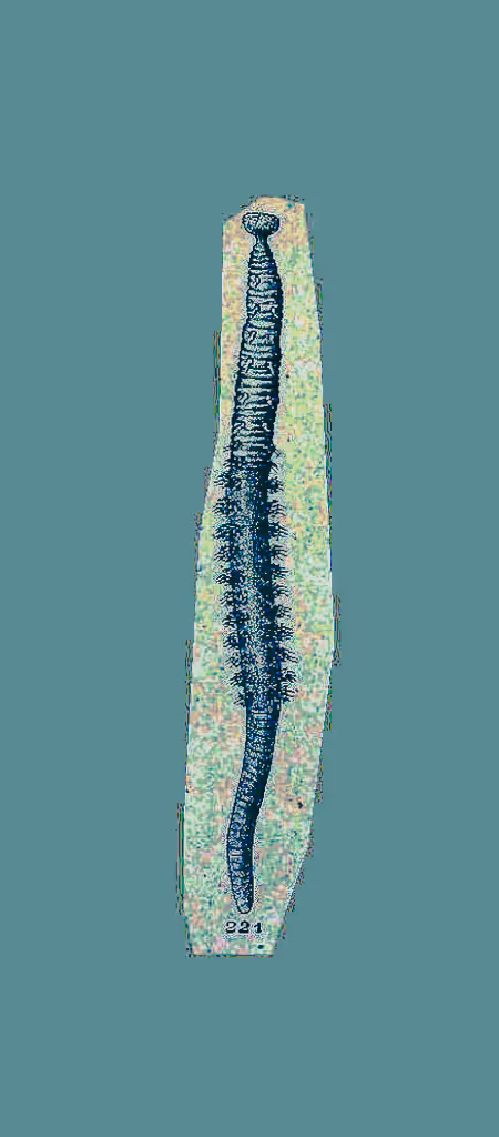 Item #91754164606506966575596469571565985485613429950187136926502423098001341808641 Media