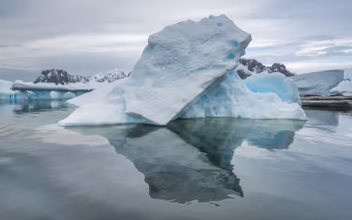 Item #41168216075356421475418355440995855194174491926388925330776099985239876567041 Media