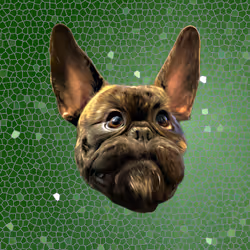 Otis Magoatis - Space Time Continuum Green