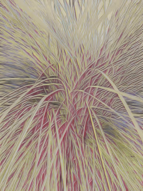 Item #33489201772139454524030938762040669258263543807464770779456338513967276097561 Media