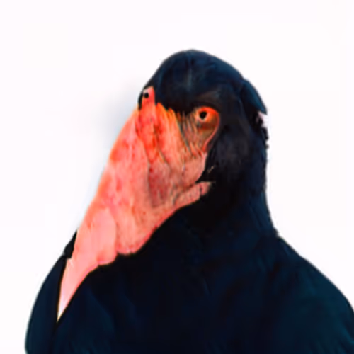 Item #110064969829225063713500301847050605951027642351507303119257848257104790421505 Media