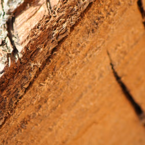 51124555051901614330264480006545612592022390906904121289505624498637050478593