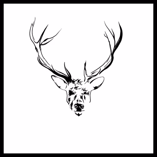 Item #115642348900939839605664246345985153537088577067861875053419533918549823193089 Media