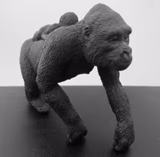 Untitled Collection #239932747