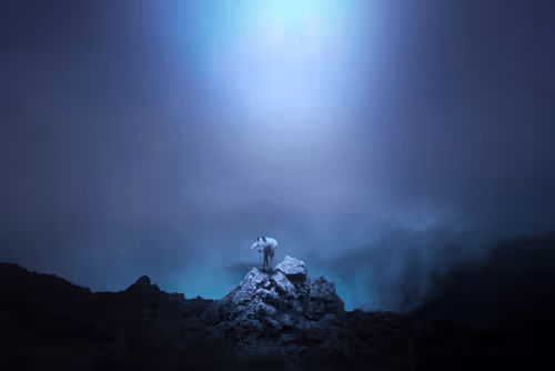 Taysa Jorge Editions