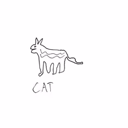 cat