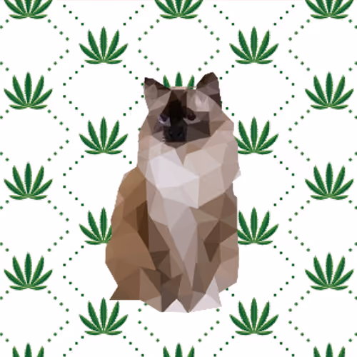 YukichiCat Collection