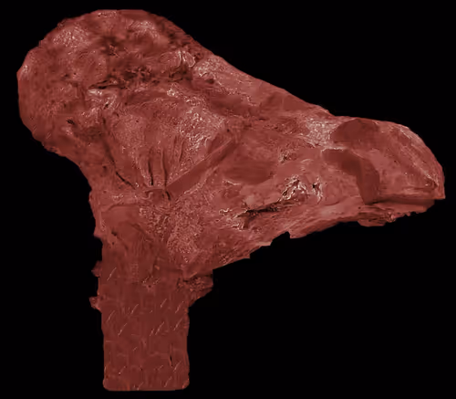 Item #18063966590187803564983313972252836895288362682890717819958697131807185305601 Media