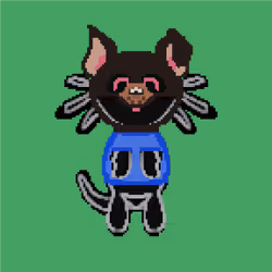 77568447387642621508695048464899208700039999360443893648901734240294057017345