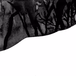 Ballad in the woods