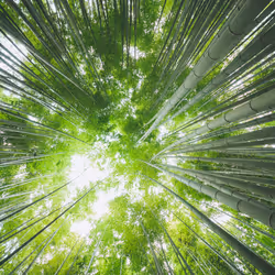 6522300135097220247605155674908152002410346938303119366053397897775281078273