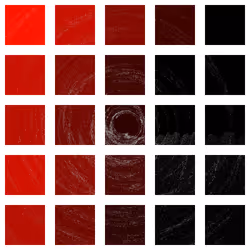 8002399618442027285262995208168925881002939430625306793131363104508277161985