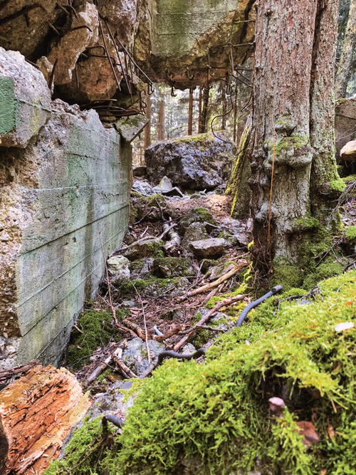 Item #105824048542883402372439637698233055099864619322085015812038144092369126948865 Media