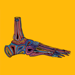 28824502245252267217549902857601847351510039266873569823091148425111690805249